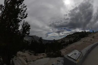 DSC_4408 (Large).JPG